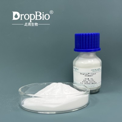 DropCare® Cera-6（神经酰胺 AP）