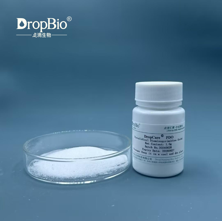 Pyrrolidinyl Diaminopyrimidine Oxide Can Effectively Inhibit Hair Loss